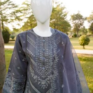 Soft Organza hand EmbelliShed Suit with Pearl & Lace work